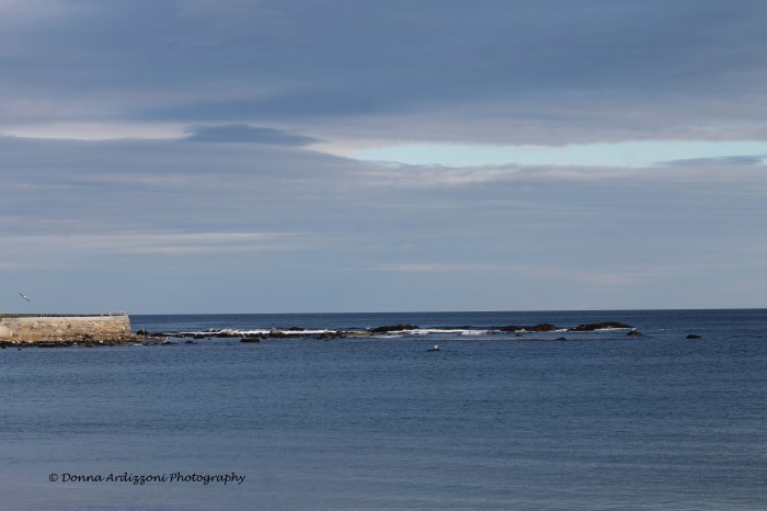 September 24, 2013 Brace Cove