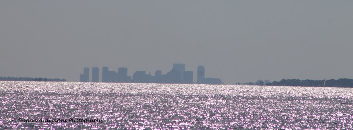 September 6, 2013 pink diamonds