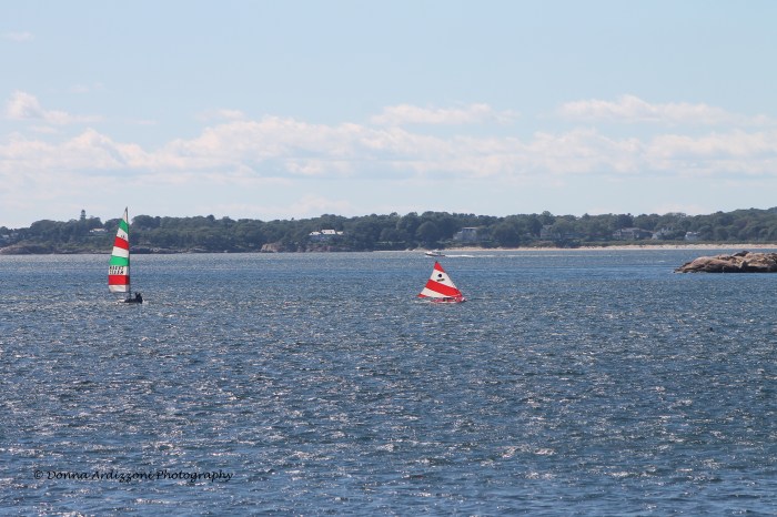 September 8, 2013 Colors on Magnolia harbor