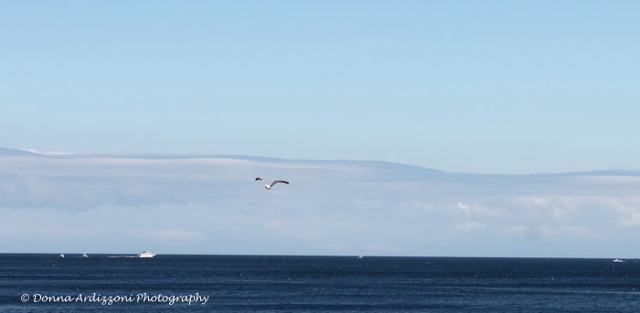 September 8, 2013 Shore Road Gloucester