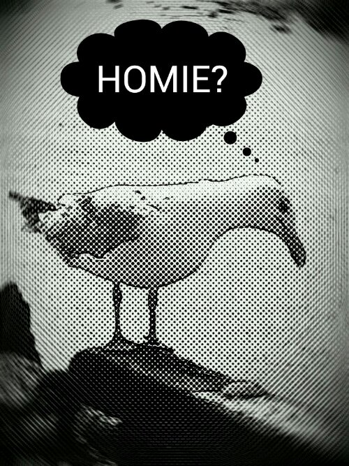 PaperArtist_2013-09-02_13-54-29-picsay.jpg image