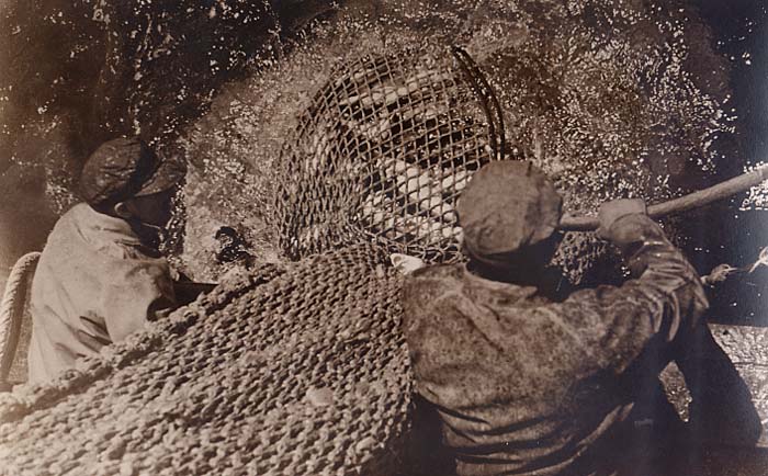Hauling the net full of cod. The steel dragger is unidentified. Photographer was James H. Goodwin. If anyone knew him, let us know.