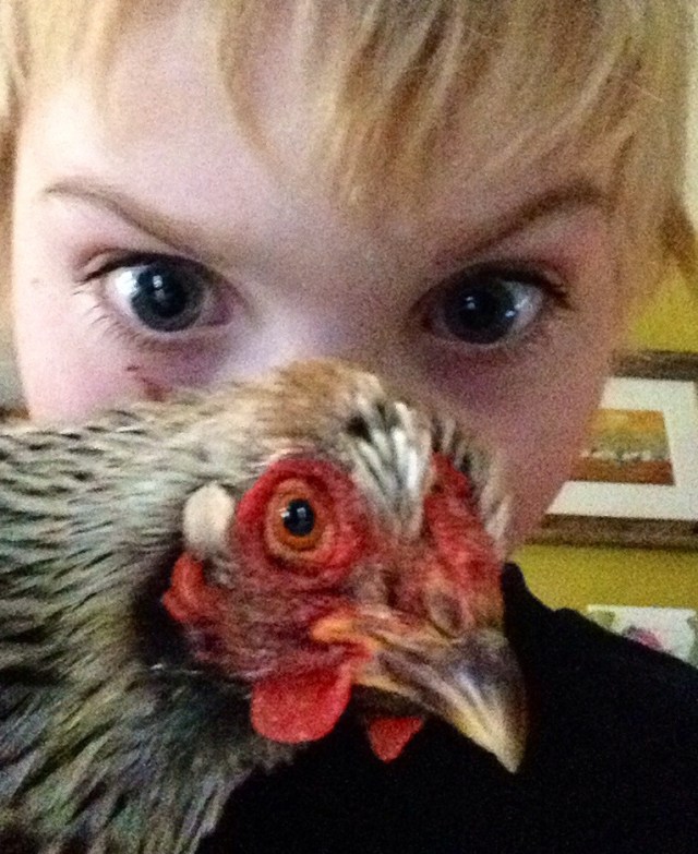 Alsnon Monell's A Boy and His Chicken