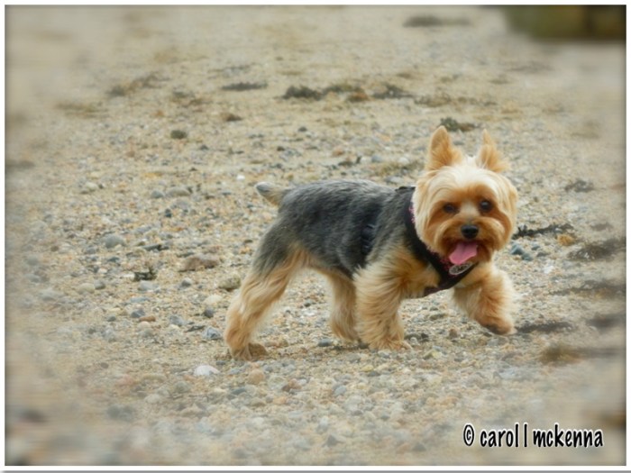 Carol Mckenna's Boss