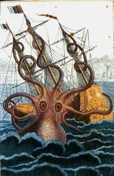 colossaloctopusbypierredenysdemontfort-w240
