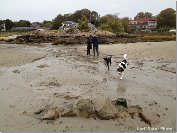 GHB_wall_pilings_Oct13