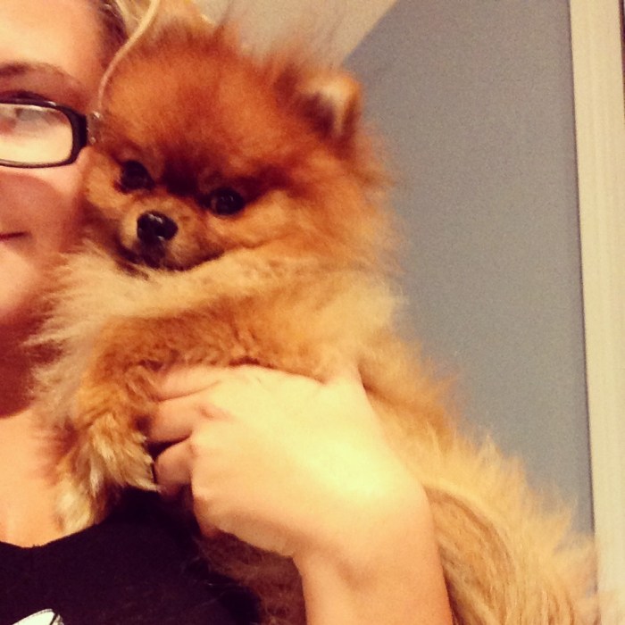 Hannah Willey's Pet's Selfies