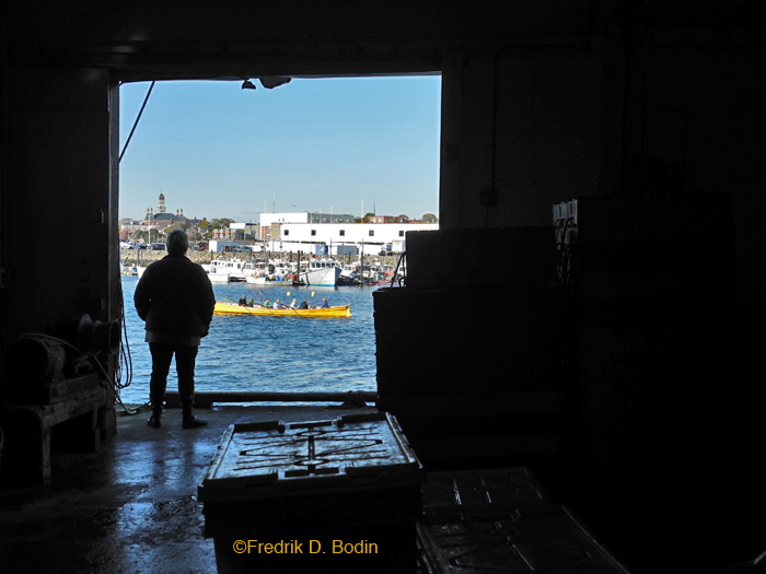 Twenty of us, authors, contributors, and friends, converged on Captain Joe's lobster dock. This is a very industrial space, with herring parts on the floor.