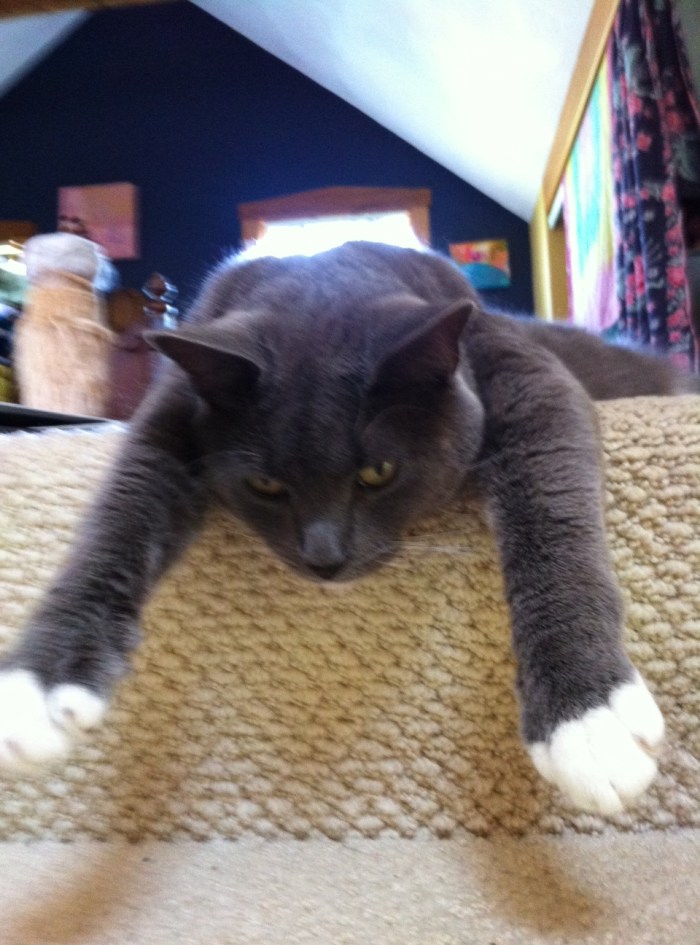 Judith Rinehardt's Django