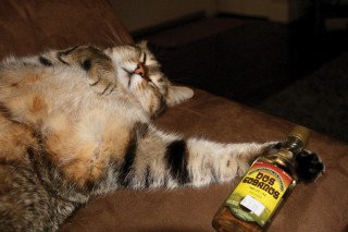 My master may have taken this after a wild Saturday night...submitted by none other than Melissa Cox.