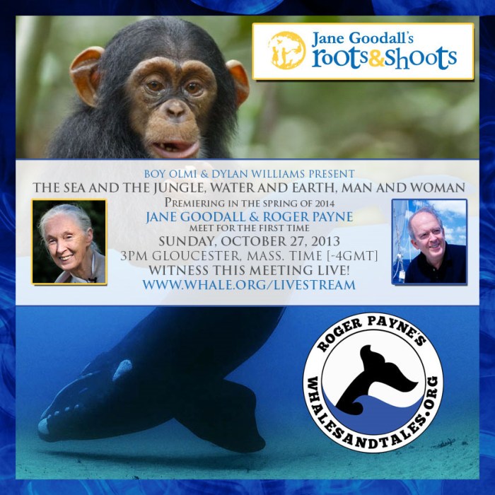 ocean alliance and jane goodall