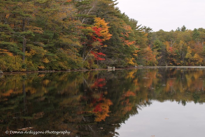 October 15, 2013 bushwell pond
