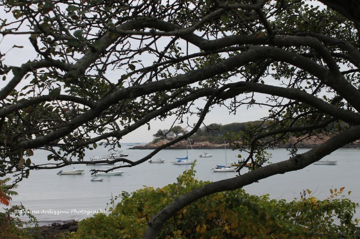 October 15, 2013 Magnolia Harobr