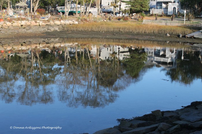 October 29, 2013 Reflections low tide on Rocky Neck