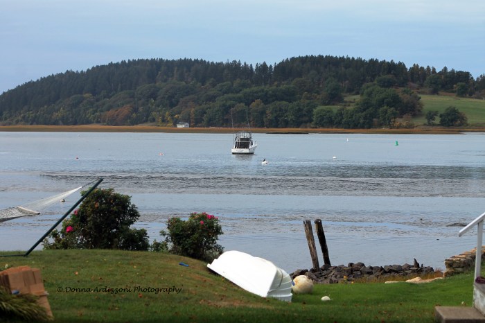 October 5, 2013 Bout time