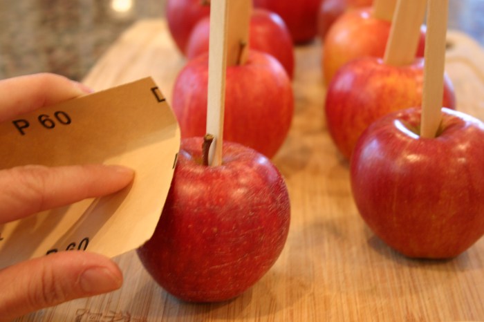 PB&J Caramel Apples 025