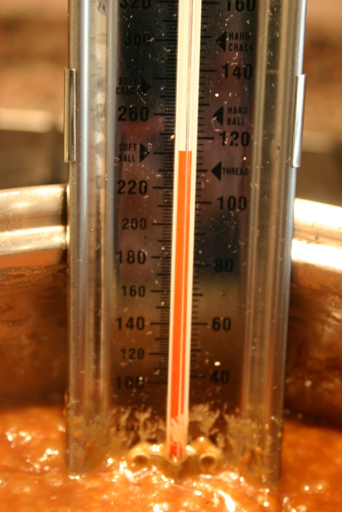 PB&J Caramel Apples 028