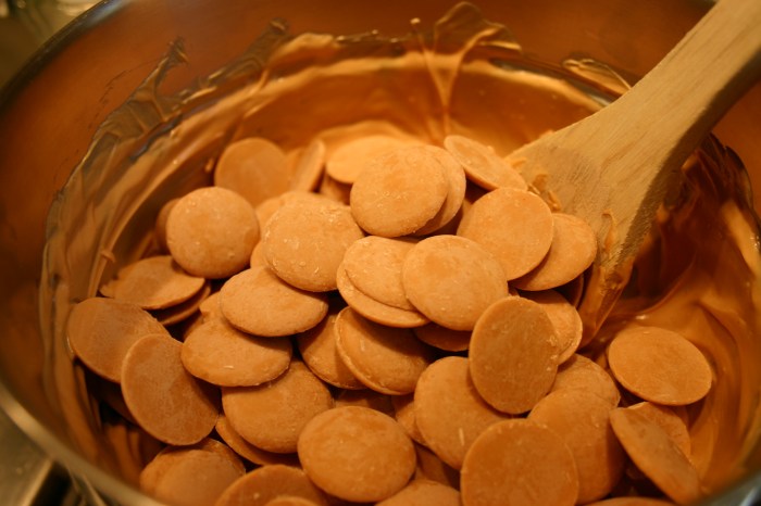 PB&J Caramel Apples 033