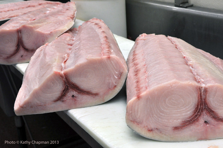 SwordfishQuarters