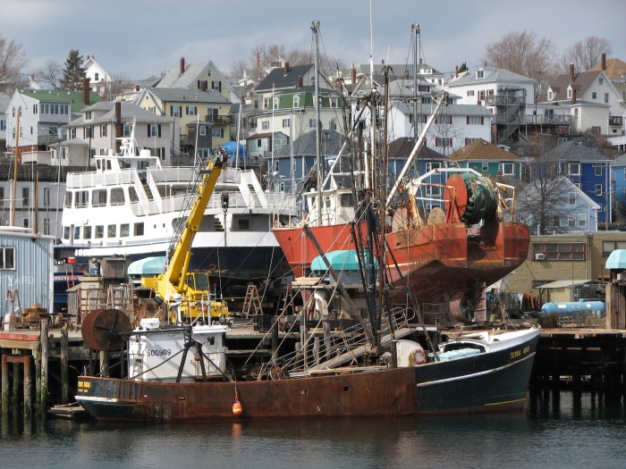 Terra Nova at Rose Marine