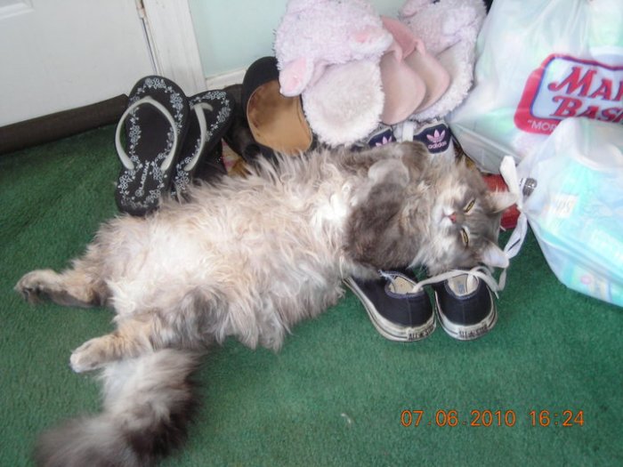 And one more from Tofu