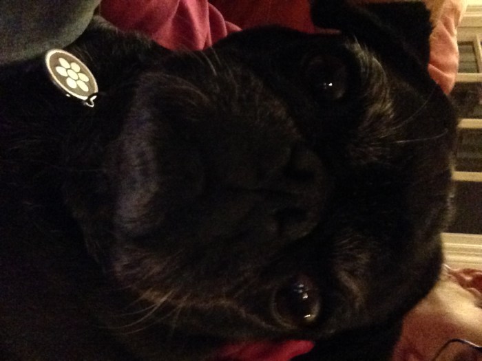 Tracey Conley's Lola