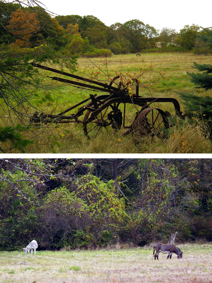 who knows where this is