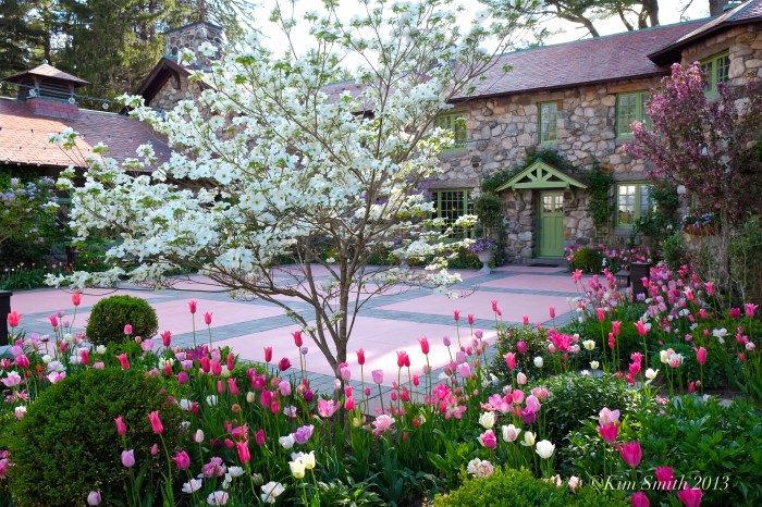 Willowdale Estate Topsfield May wedding ©Kim Smith 2013