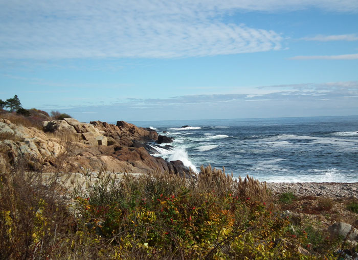 beautiful back shore