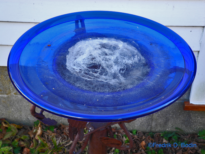 Janet and I have three parakeets, Merry, Pippin, and Jack. I had no familiarity with birds until I met Janet, but now I do. Caged birds need heat, food, and water to survive. I learned all this from her. Before I left for work today I checked on them, and I smelled something like burning. It was a space heater, so I replaced it with another one. Not only am I attached to these birds, but I've also learned to like the wild birds outside as well. I hear them every morning communicating with our birds. It's a sweet sound. We put seed outside for the Swallows and Bluejays. Unfortunately, the water in the bird bath was frozen today.