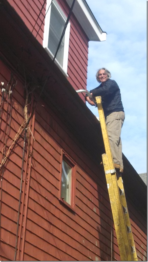 IMG_20131116_112006_295