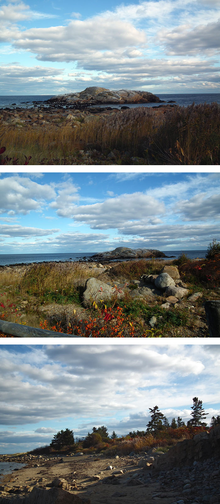 magnificent eastern point fall day