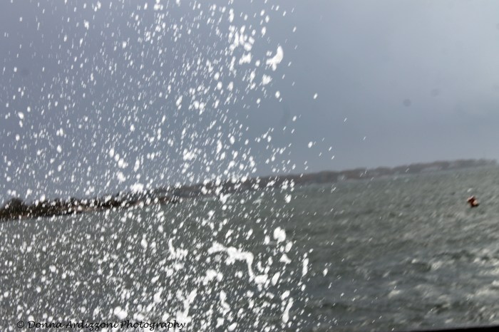 November 1, 2013 little splash over on the blvd.