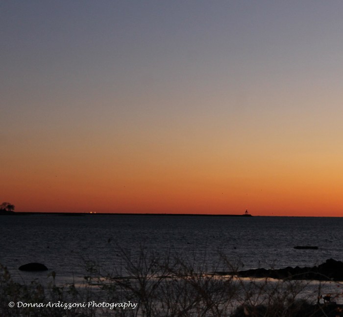 November 13, 2013 looking out to dogbar