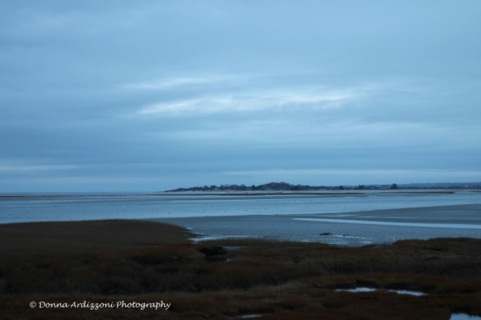 November 17, 2013 Conomo Point at low tide
