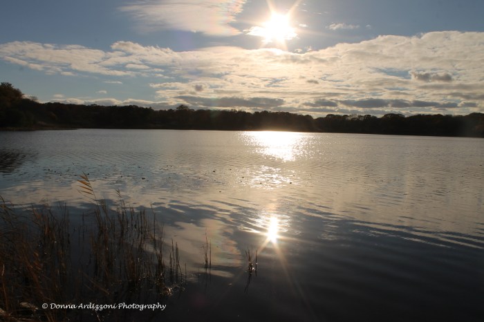 November 3, 2013 Niles Pond Gloucester, MA