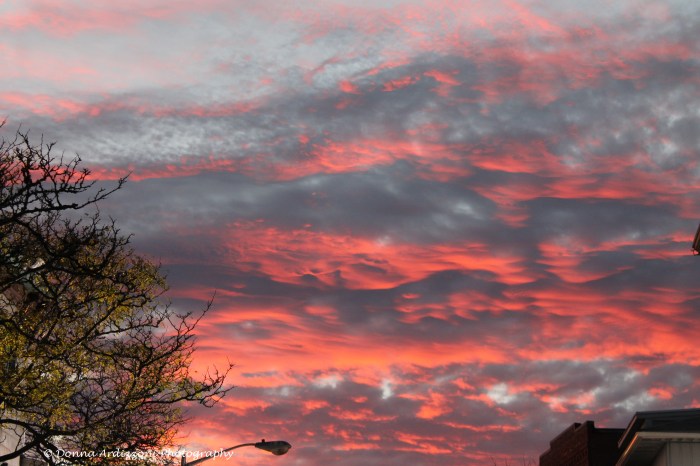 November 6, 2013 now that is a sky