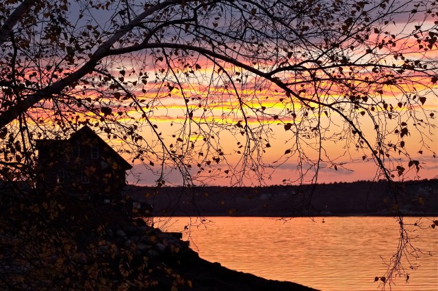 Veil of Birch Leaves and Paint Factory -4 ©Kim Smith 2013