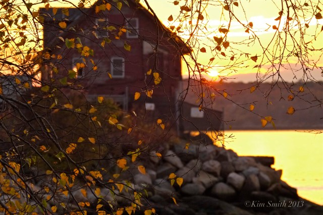 Veil of Birch Leaves Paint Factory -2©Kim Smith 2013