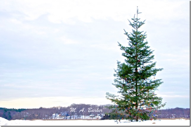 1 Michael McHugh Captains the Voyager 047