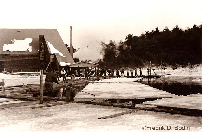 With New Year's Eve here, there will be plenty of ice used in sculptures and serving foods such as shrimp and oysters, not to mention keeping the bubbly cold. But before electricity and refrigeration,   there was only one source of ice: Ice ponds and ice houses. Workers cut the ice and it was stored in a nearby "house," in salt hay, cork and sawdust insulation until it was needed. Around 1900, the Fernwood Lake Ice Company, pictured here, had the largest building in Massachusetts, measuring 105 feet x 205 feet. In 1908, the Fernwood Ice Company merged with Cape Pond Ice. The fishing industry used a lot of ice to preserve their catch as it was brought to market.