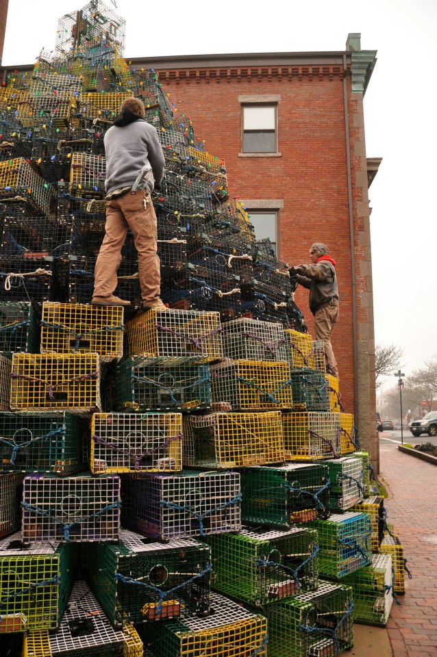 BuildingTree_DavidBrooks and Ed Collard