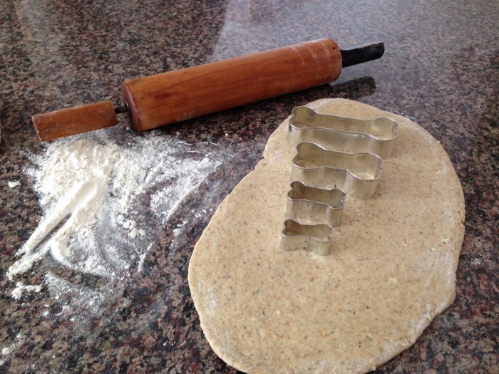 Coconuts Favorite Italian Dog Cookies (14)