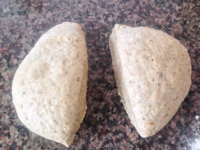 Coconuts Favorite Italian Dog Cookies (19)