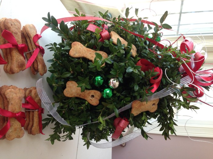 Coconuts Favorite Italian Dog Cookies (4)