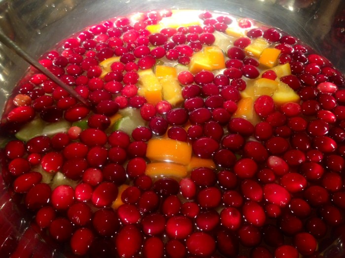 cranberry punch cocktail 3