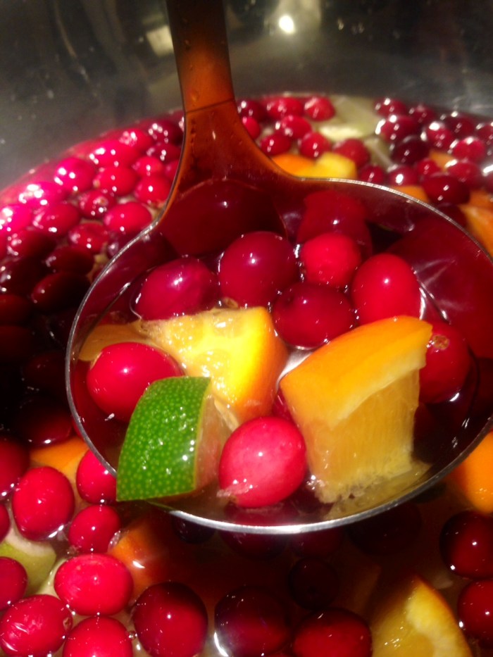 cranberry punch cocktail2