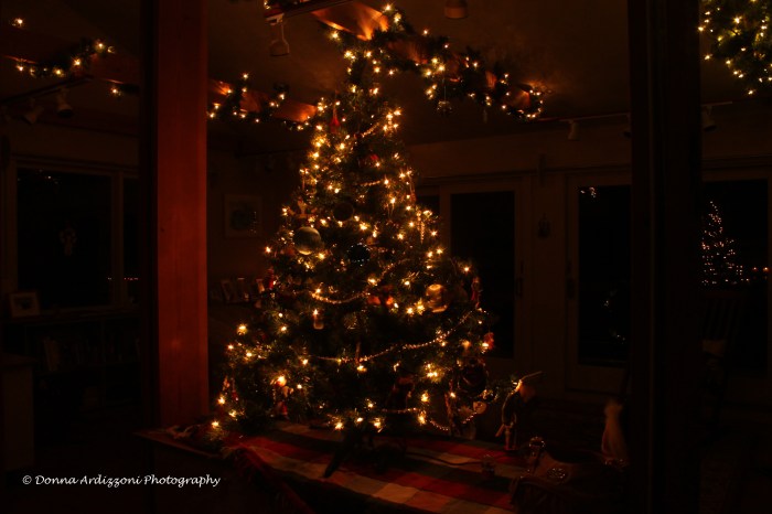 December 10, 2013 Nice to come home to