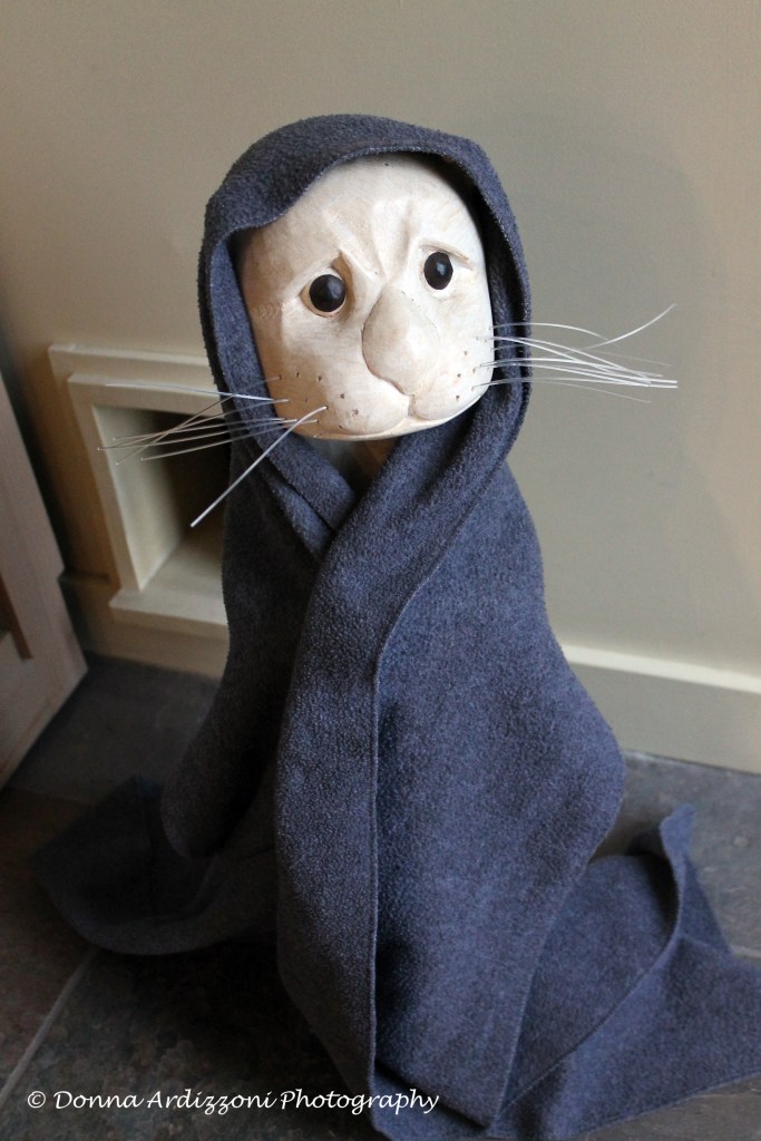 December 15, 2013 Sea otter is even cold