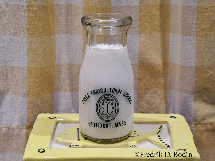 The Essex Agricultural School was founded in 1913 at Hawthorne (Danvers) MA, on land granted by descendants of Nathaniel Hawthorne. They raised  cows, learned how to milk them, and then sent the milk to be processed and bottled. This unused bottle was given to me by Gloucester resident  Gus Olson, former president of Essex Agricultural and Technical High School..